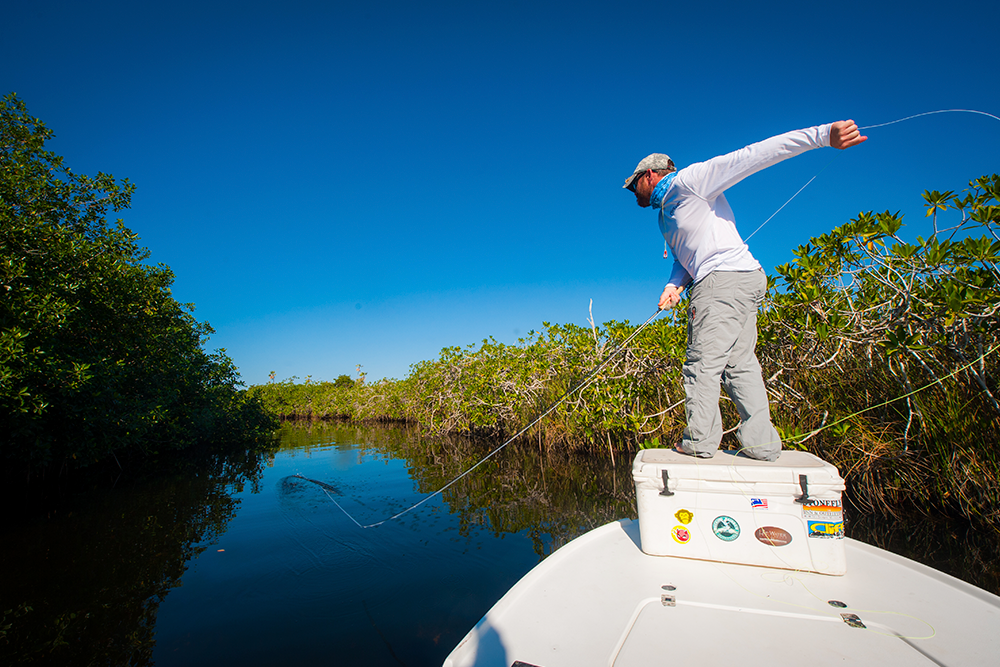 Snook Fishing