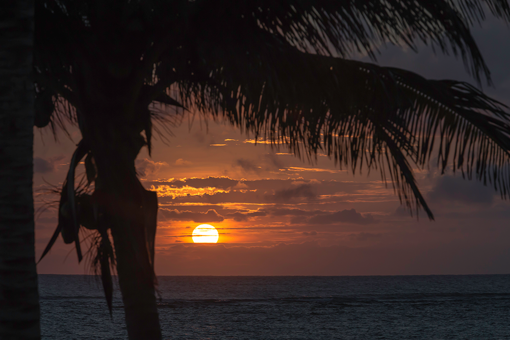 World Class Tarpon Fishing