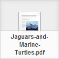 jaguars and turtles