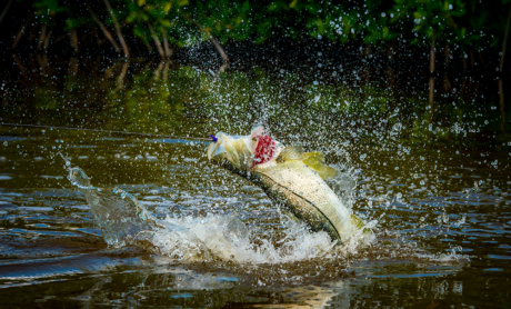 Casa Blanca Fly Fishing