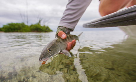 Casa Blanca Fly Fishing