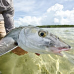 Casa Blanca Fly Fishing Lodge Bonefish