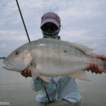 Casa Blanca Fly Fishing Lodge Triggerfish