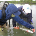 Casa Blanca Fly Fishing Lodge Bonefish