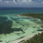 Punta Pajaros Paradise